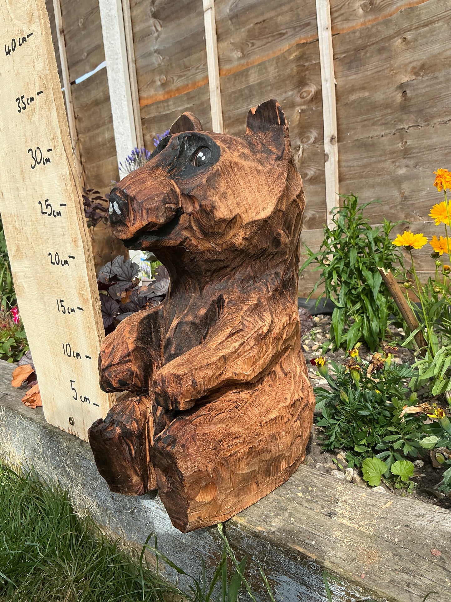 10 - Sitting bear