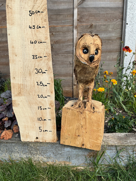 11 - Standing owl