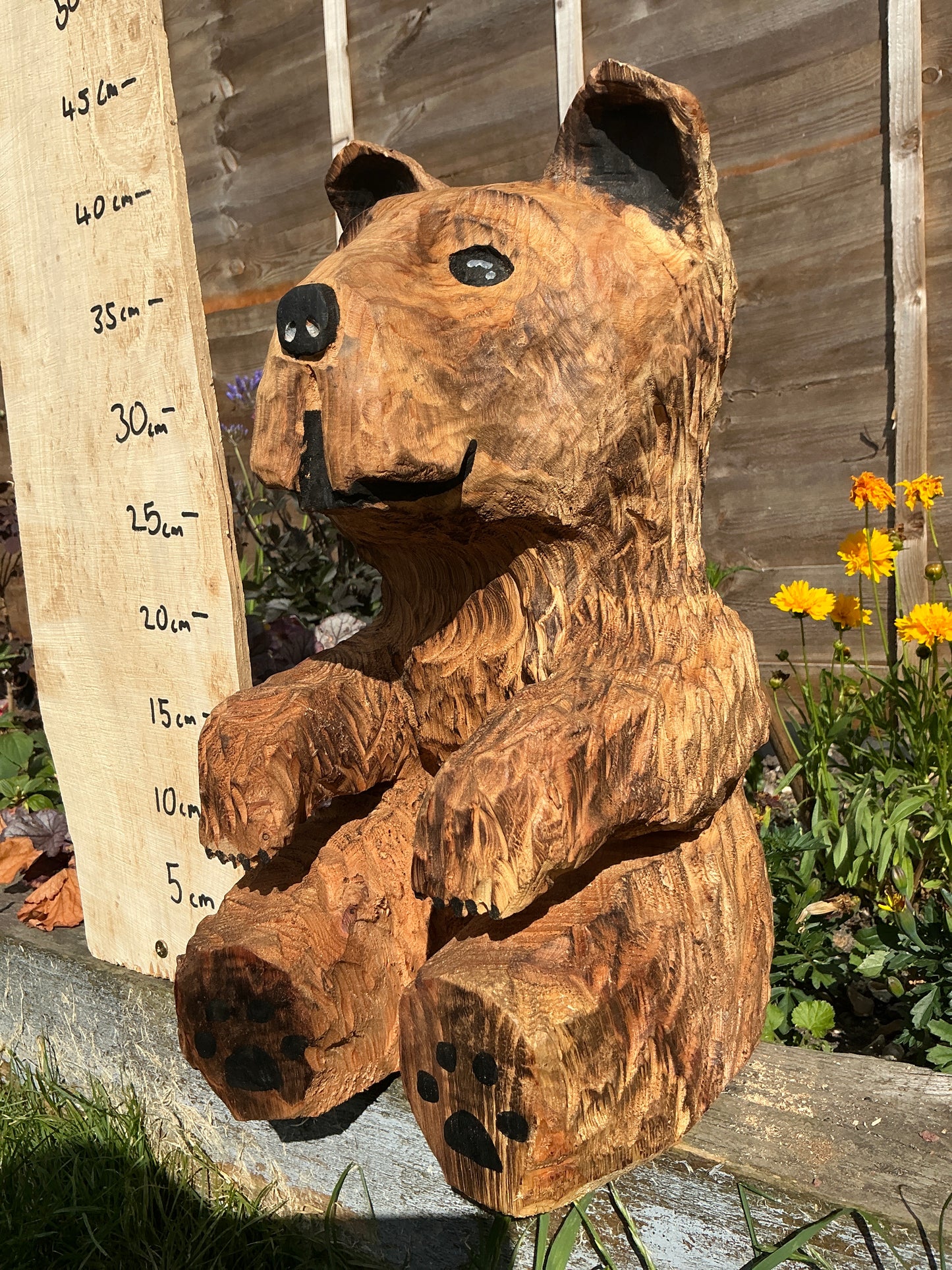 12 - Sitting bear