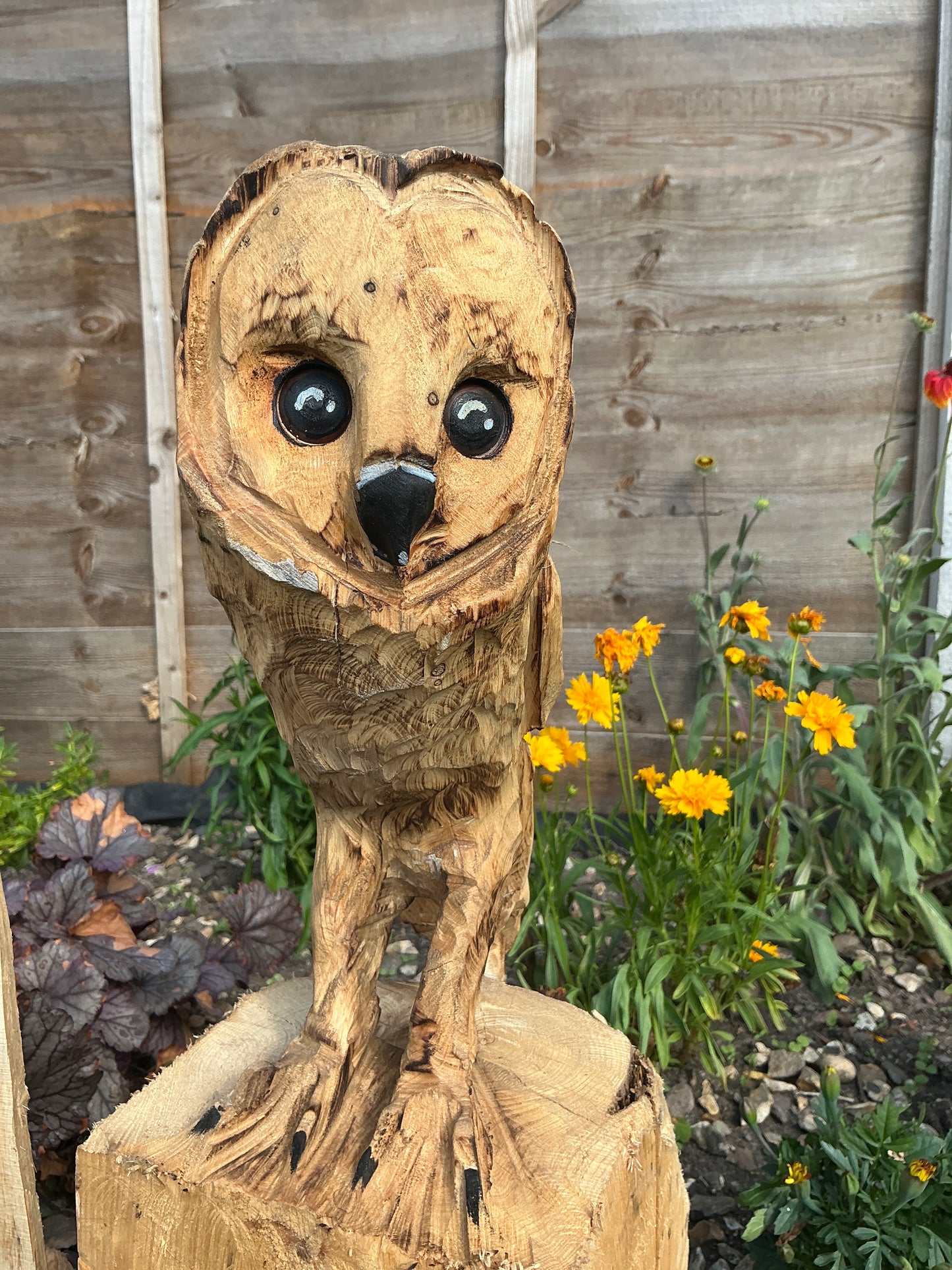 11 - Standing owl
